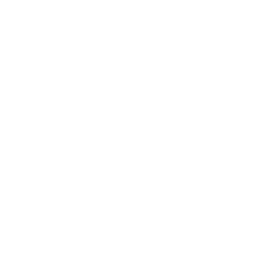 deepseek-logo-white