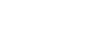 stripe-logo-white